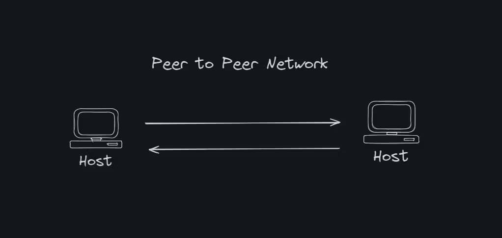 layout explaining peer to peer networks